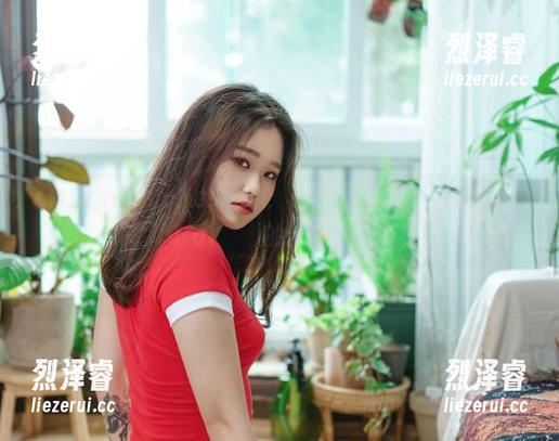ArtGraviaCollection：让你忘记圣光，直接进入Sira(시라)的艺术世界！