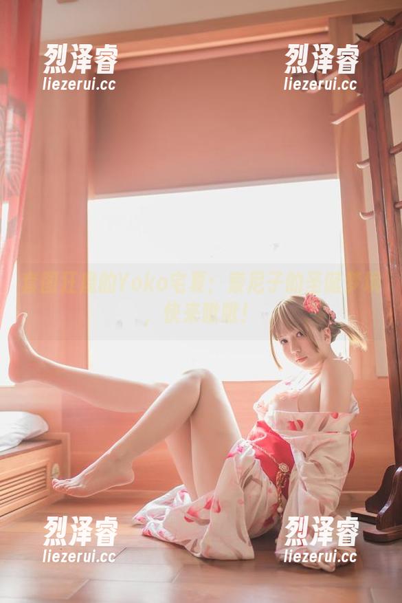 套图狂魔的Yoko宅夏：索尼子的圣诞梦境，快来瞅瞅！