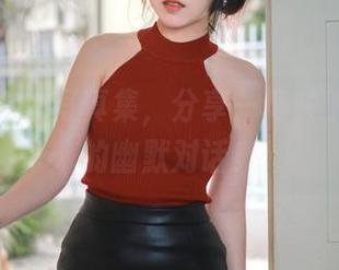 不呆猫纯白写真集，分享一场关于雪和猫的幽默对话！