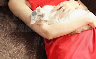 推女神 – 更新！佟蔓在连衣裙中的优雅瞬间，照片里流露出的quietcharm，真是引人入胜